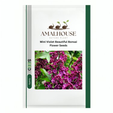 Mini Violet Beautiful Bonsai Flower - 100 PCS Seeds