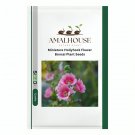 Miniature Hollyhock Flower Bonsai Plant - 100 PCS Seeds