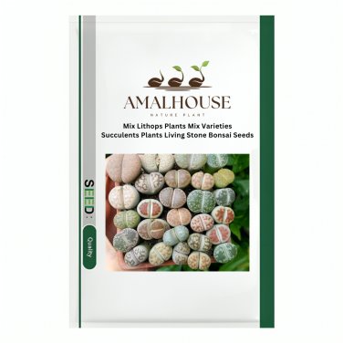 Mix Lithops Plants Mix Varieties Succulents Plants Living Stone Bonsai - 200 PCS Seeds