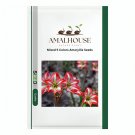 Mixed 5 Colors Amaryllis - 100 PCS Seeds