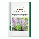 Mixed 6 Colors of Wisteria Plant Pink Purple White - 10 PCS Seeds