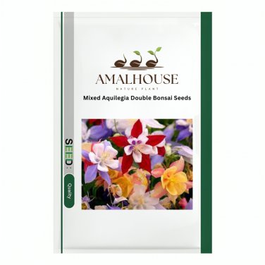 Mixed Aquilegia Double Bonsai - 100 PCS Seeds
