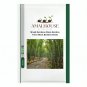 Mixed Bambaoo Moso Bamboo Timor Black Bamboo - 20 PCS Seeds