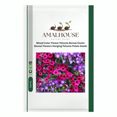 Mixed Color Flower Petunia Bonsai Exotic Bonsai Flowers Hanging Petunia Petals - 100 PCS Seeds