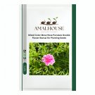 Mixed Color Moss-Rose Purslane Double Flower Bonsai for Planting - 100 PCS Seeds