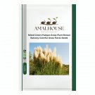 Mixed Colors Pampas Grass Plant Bonsai Balcony Colorful Grass Flores - 200 PCS Seeds