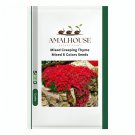 Mixed Creeping Thyme Seeds Mixed 6 Colors - 100 PCS Seeds