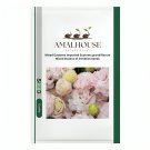 Mixed Eustoma Imported Eustoma grandiflorum Mixed Dozens of Varieties - 100 PCS Seeds