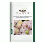 Mixed Eustoma Imported Eustoma grandiflorum Mixed Dozens of Varieties - 100 PCS Seeds