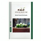 Mixed Haworthia - 20 PCS Seeds