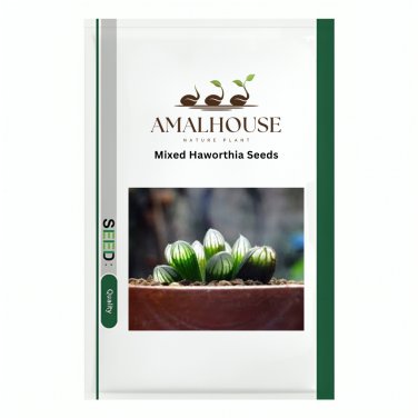 Mixed Haworthia - 20 PCS Seeds