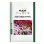 MIXED Impatiens Balsamina Red White Pink Flowers - 20 PCS Seeds