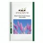 Mixed Yellow Purple Pampas Grass - 100 PCS Seeds