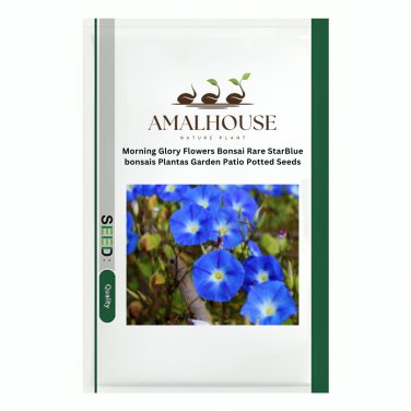 Morning Glory Flowers Bonsai Rare StarBlue bonsais Plantas Garden Patio Potted - 100 PCS Seeds