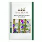 Morning Glory Rare Star Blue Bonsai - 100 PCS Seeds
