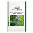 mported Lobelia Flowers Blooming Covering Flore - 200 PCS Seeds