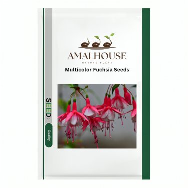 Multicolor Fuchsia - 200 PCS Seeds