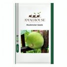 Muskmelon - 200 PCS Seeds