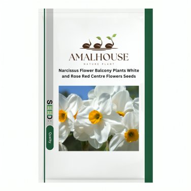 Narcissus Flower Balcony Plants White and Rose Red Centre Flowers - 100 PCS Seeds