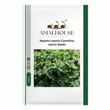 Nepeta cataria Camelina sativa - 4000 PCS Seeds