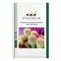 Notocactus Cactaceae Southland Jade Mixed - 10 PCS Seeds