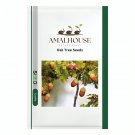 Oak Tree - 10 PCS Seeds