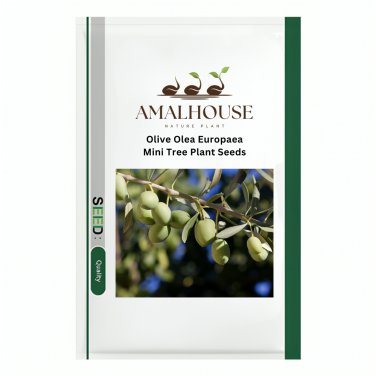 Olive Olea Europaea Mini Tree Plant - 20 PCS Seeds
