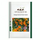 Orange Gazania Flower - 20 PCS Seeds