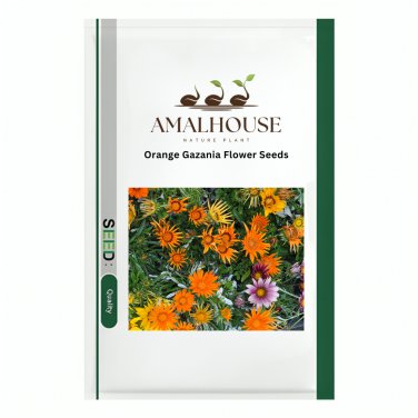Orange Gazania Flower - 20 PCS Seeds