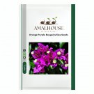 Orange Purple Bougainvillea - 100 PCS Seeds