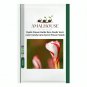 Oxalis Flower Bulbs Rare Oxalis Versicolor Candy Cane Sorrel Flower - 2 PCS Seeds