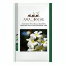 Oxalis ‘White Hibiscus’ Bulb White Flowers with Yellow Centre (Small Bulb) - 1 PCS Seeds