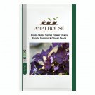 Oxalis Wood Sorrel Flower Oxalis Purple Shamrock Clover - 200 PCS Seeds