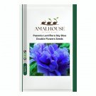 Paeonia Lactiflora Sky Blue Double Flowers - 10 PCS Seeds
