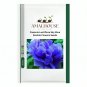 Paeonia Lactiflora Sky Blue Double Flowers - 10 PCS Seeds