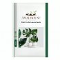 Palm Turtle Leaves - 100 PCS Seeds