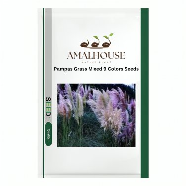Pampas Grass Mixed 9 Colors - 200 PCS Seeds