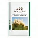 Pampas Grass Orangish Yellow Ornamental Plants - 200 PCS Seeds