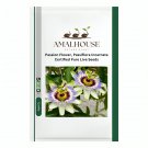 Passion Flower, Passiflora Incarnata Certified Pure Live - 20 PCS Seeds
