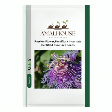 Passion Flower Passiflora Incarnata Certified Pure Live - 20 PCS Seeds