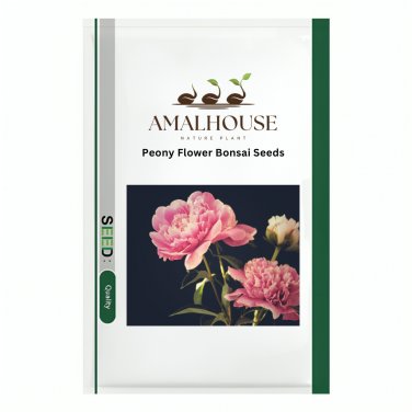Peony Flower Bonsai - 10 PCS Seeds
