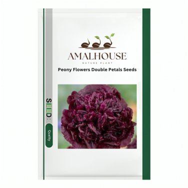 Peony Flowers Double Petals - 10 PCS Seeds