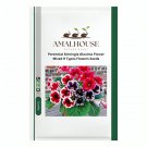 Perennial Sinningia Gloxinia Flower Mixed 9 Types Flowers - 100 PCS Seeds