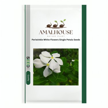 Periwinkle White Flowers Single Petals - 100 PCS Seeds