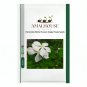 Periwinkle White Flowers Single Petals - 100 PCS Seeds