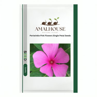 Periwinkle Pink Flowers Single Petal - 100 PCS Seeds