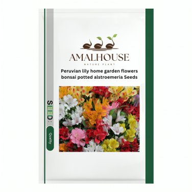 Peruvian lily home garden flowers bonsai potted alstroemeria - 120 PCS Seeds