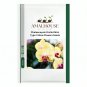 Phalaenopsis Orchid Mini Type Yellow Flowers - 100 PCS Seeds