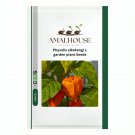 Physalis alkekengi L garden plant - 50 PCS Seeds