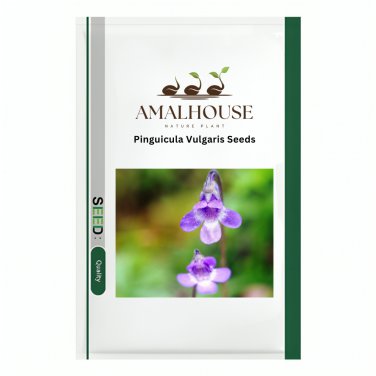 Pinguicula Vulgaris - 100 PCS Seeds
